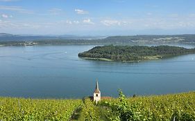 Ferien auf dem Weingut